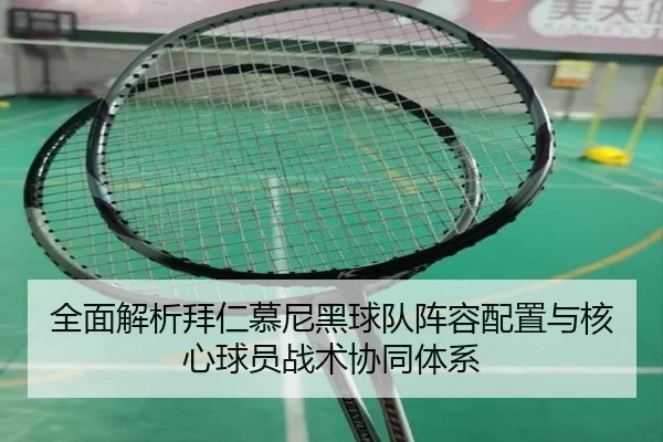 全面解析拜仁慕尼黑球队阵容配置与核心球员战术协同体系