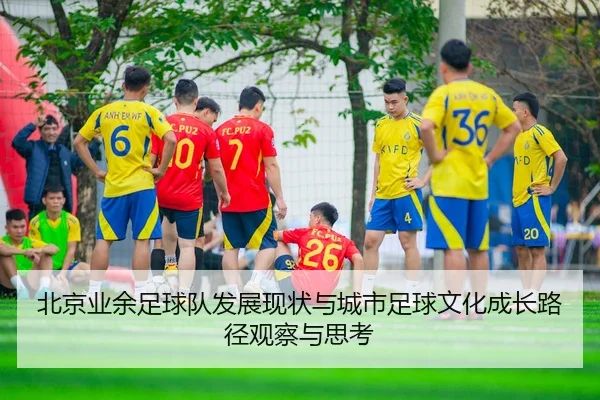 北京业余足球队发展现状与城市足球文化成长路径观察与思考