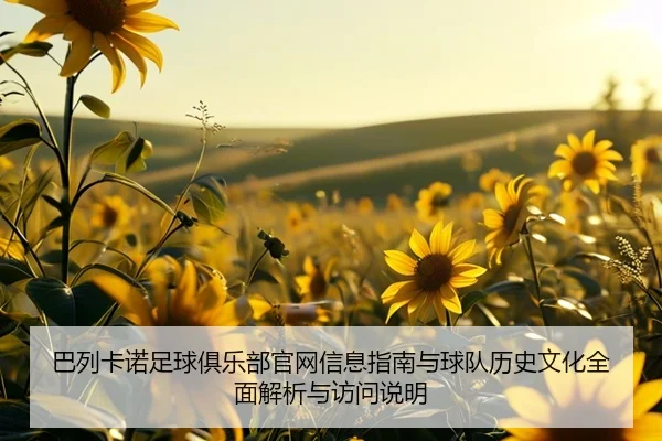 巴列卡诺足球俱乐部官网信息指南与球队历史文化全面解析与访问说明