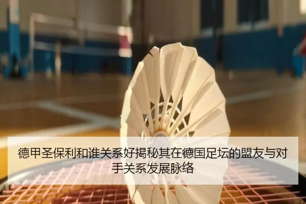 德甲圣保利和谁关系好揭秘其在德国足坛的盟友与对手关系发展脉络