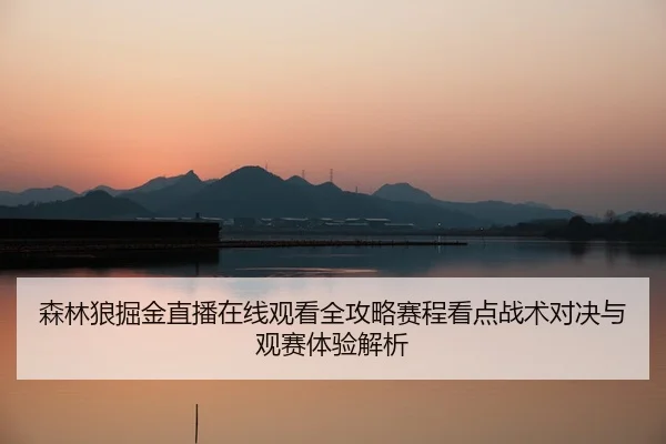 森林狼掘金直播在线观看全攻略赛程看点战术对决与观赛体验解析